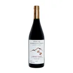 Zorzal Terroir Único Cabernet Franc