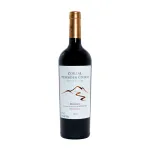 Zorzal Terroir Único Malbec